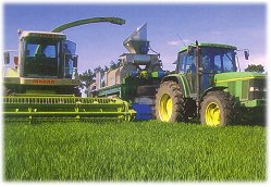 BarleyLife Harvesting/Juicing/Cooling Operation